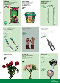Bellaflora Flugblatt Seite 3