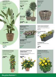 Bellaflora Flugblatt Seite 4