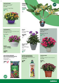 Bellaflora Flugblatt Seite 5