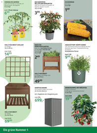 Bellaflora Flugblatt Seite 6