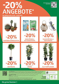 Bellaflora Flugblatt Seite 8