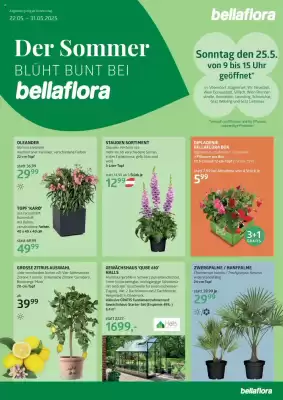Bellaflora Flugblatt (gültig bis 31-05)