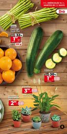 Folleto Dia Supermercados semana 20 Página 5
