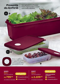 Catálogo Tupperware Página 58