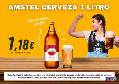Folleto Sangüi Página 37