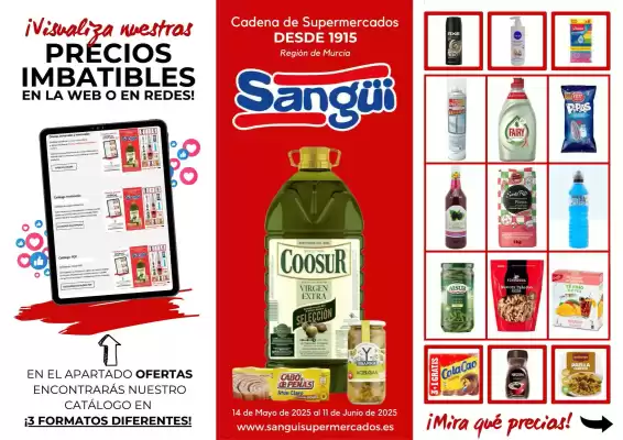 Folleto Sangüi (válido hasta el 11-06)