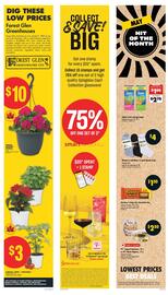 No Frills flyer Page 6