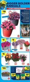 Real Canadian Superstore flyer week 20 Page 35