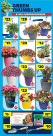 Real Canadian Superstore flyer week 20 Page 36
