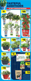 Real Canadian Superstore flyer week 20 Page 37