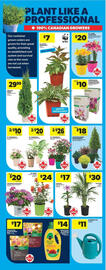 Real Canadian Superstore flyer week 20 Page 39