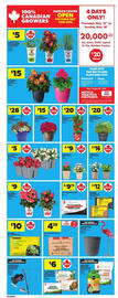 Atlantic Superstore flyer week 20 Page 7
