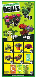 Chalo FreshCo flyer week 20 Page 6