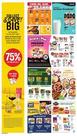 Dominion flyer Page 13