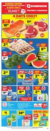 Dominion flyer Page 2