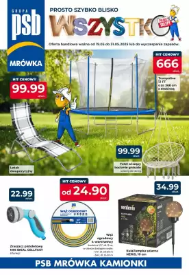 Mrówka gazetka (ważność do 31-05)
