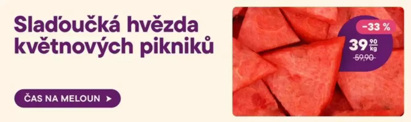 Košík leták