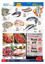 Al Hoot catalogue Page 3