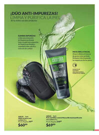Catálogo Avon Página 31