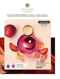 Catálogo Avon Página 11
