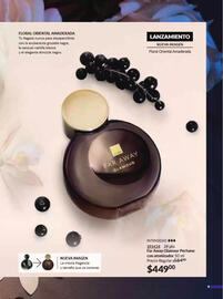 Catálogo Avon Página 13
