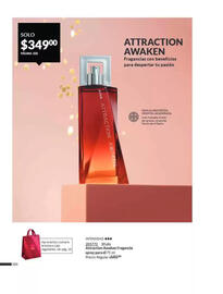 Catálogo Avon Página 208