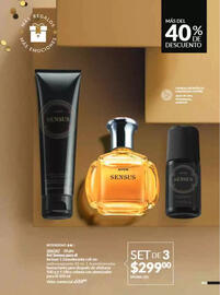 Catálogo Avon Página 209