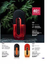 Catálogo Avon Página 19