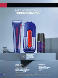 Catálogo Avon Página 103