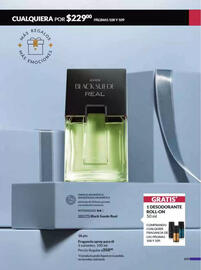 Catálogo Avon Página 114