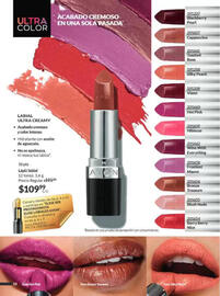 Catálogo Avon Página 17