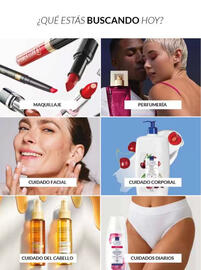 Catálogo Avon Página 5