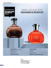 Catálogo Avon Página 99