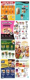 Loblaws flyer week 20 Page 17