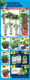 Real Canadian Superstore flyer week 20 Page 42