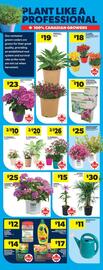 Real Canadian Superstore flyer week 20 Page 44