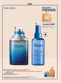 Catálogo Natura Página 49