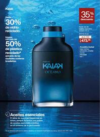 Catálogo Natura Página 37