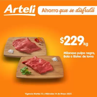 Catálogo Arteli