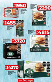 Catálogo Supermercados DIA semana 20 Página 101