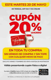 Catálogo Supermercados DIA semana 20 Página 6
