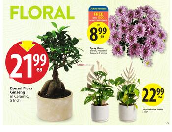 Save on Foods flyer Page 6