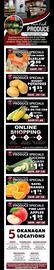 T-Bone's flyer Page 4