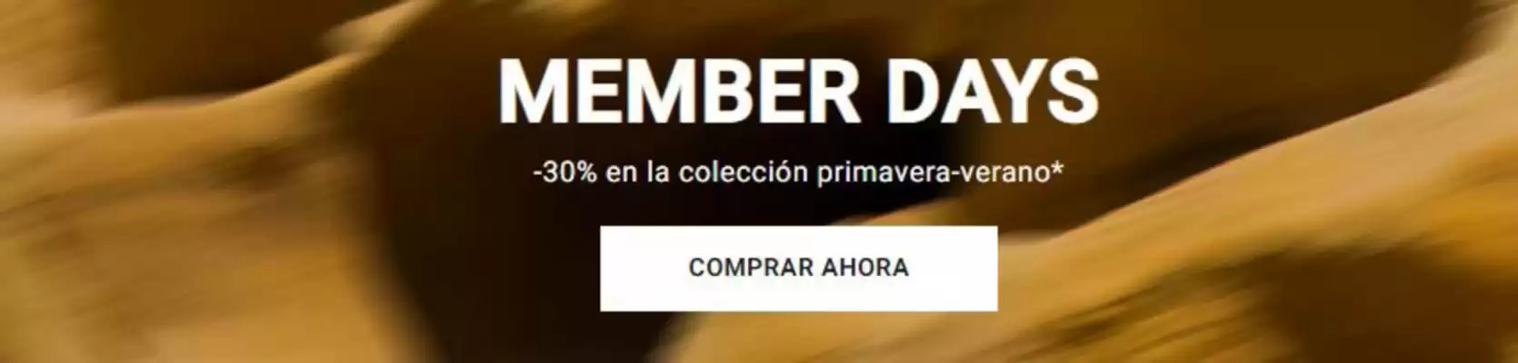 Folleto Billabong (válido hasta el 31-05)