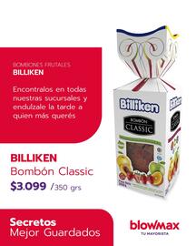 Catálogo Blow Max Página 2