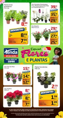 Catálogo Tenda Atacado