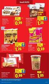 Catalogue Lidl semaine 21 page 13
