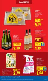 Catalogue Lidl semaine 21 page 15