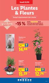 Catalogue Lidl semaine 21 page 29