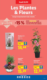 Catalogue Lidl semaine 21 page 29